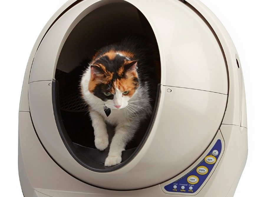 What Type of Cat Litter Box Should You Buy? Cat Evolution